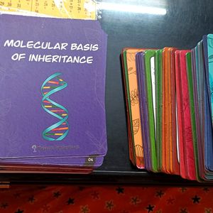 NEET BIOLOGY FLASHCARDS (11&12)