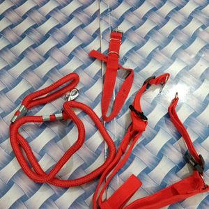 Dog leash And Collar Set For Harness