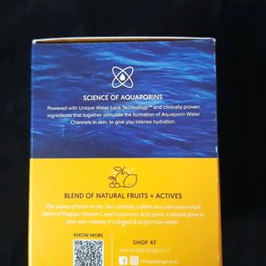 Aqualogica Night Gel