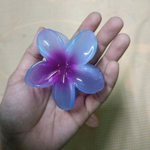 Set Of 5 Flower Hair Cluther