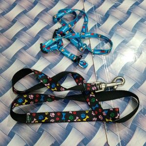 Cat for Training Leash And Collar Set