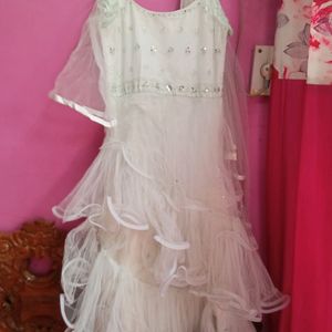 Light Colour Beautiful Full Length Net Barby Gown