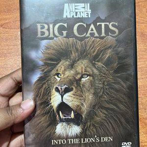 Original Animal Planet Big Cats DVD