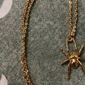 Huge Price Drop ‼️Spider Necklace