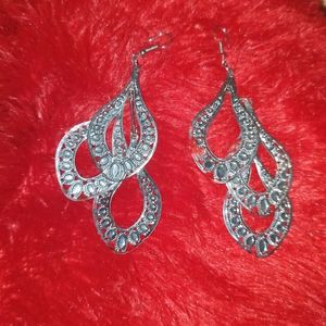 Long Silver Earrings