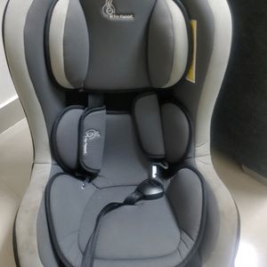 R For rabbit Car Seat