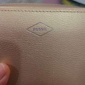 Makeup Brushes And Fossil Pouch