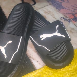 Man Slippers ( PUMA )