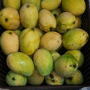 Organic Mangos