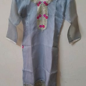 Organza Salwar Suit