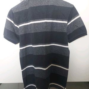 Striped T Shirt