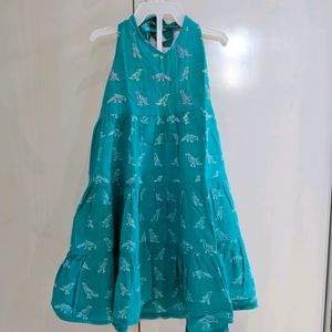 Fabindia Frock