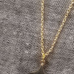 Fish Tail Pendant Chain