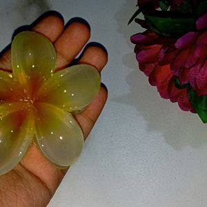 Trendy Flower Clips