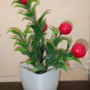 Combo Offer✨ Pack Of 5 Artificial Plants!🌼🌹🌿🍀�