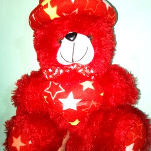 Teddy Bear New