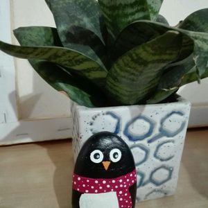 Cute Handpainted Penguin (Height-3.5 inch)