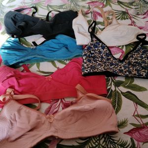 36B Bras