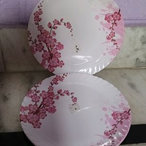 2 Beautiful melamine 🍽 Plates ..