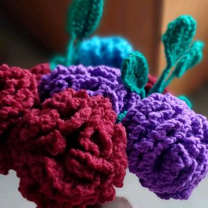 Crochet Carnation Flowers