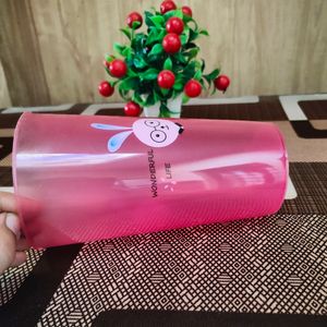 Reusable Plastic Glass Set Of 2