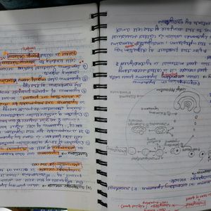 Notes For NEET