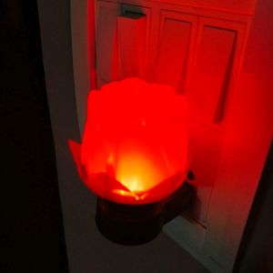 Red Rose Lamp