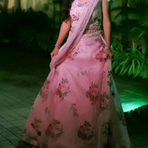 Organza Lehnga Choli Dupatta Full Set