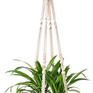 Designer Dedecor Wall Hanging Plant Pot