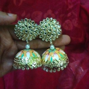 Multi Colour Earings