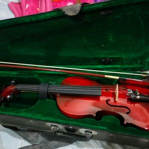 Violin