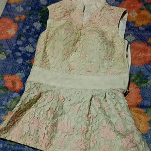 Cream Colour Net With Flowers Design Top