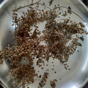 Tulsi Seeds