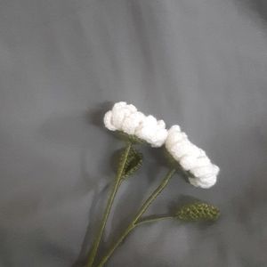 Crochet Large Daisy Flowers