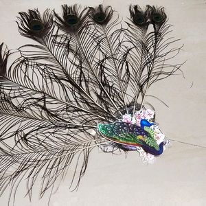 Wall Decorative Item With Dancing Peacock Feathers