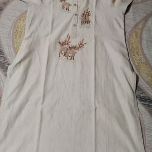 Straight Silk Kurti