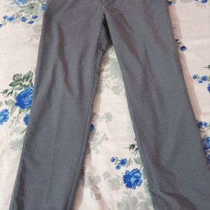 Grey Formal Pant