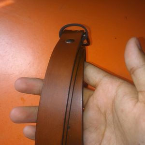 Belt