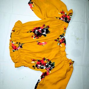 Women Crop Top Nd Skrit