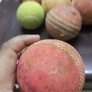 Sg Professional Cricket Ball