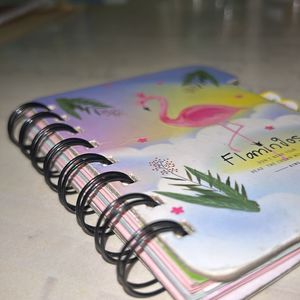 Flamingo Diary