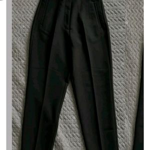 Zara High Waisted Pleated Trouser