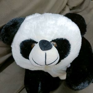 Cute Panda Softy