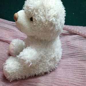 Teddy Soft Toy