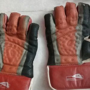 SS Brand Wicket Keeper Gloves