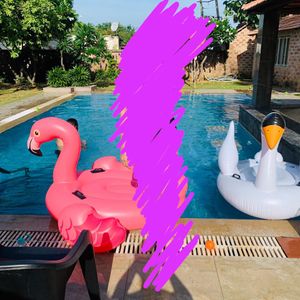 Generic flamingo Combo ( Inflatable Pool Float)