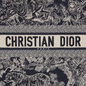 Christian Dior Book Tote Bag