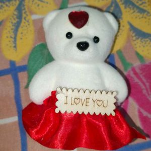 Lovely Teddy With Roses Set /Gift Item