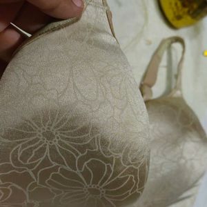 34DDD Bra Pluse Size