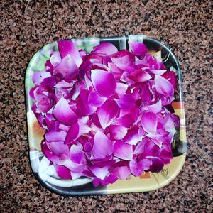 Dried Rose Petals For Craft, Herbal, Decor, Pujan